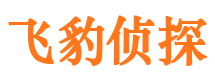 八公山侦探公司